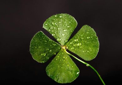 pexels-djalmaphotos-705310